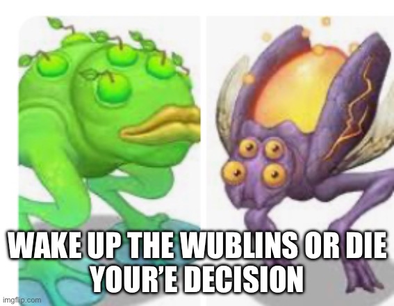 Wake up the wublins wake up the wublins | WAKE UP THE WUBLINS OR DIE
YOUR’E DECISION | image tagged in msm,my singing monsters,or else | made w/ Imgflip meme maker