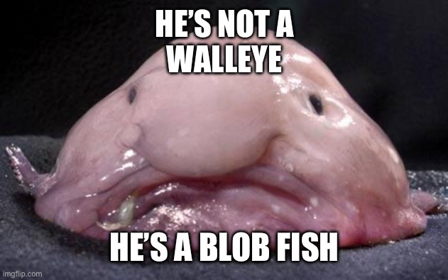 Blobfish | HE’S NOT A
WALLEYE HE’S A BLOB FISH | image tagged in blobfish | made w/ Imgflip meme maker