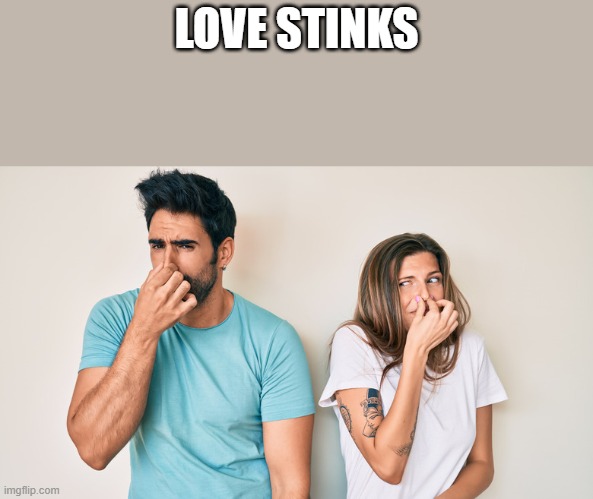 Love Stinks | LOVE STINKS | image tagged in love stinks,love,stinks,smell,funny,memes | made w/ Imgflip meme maker