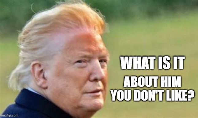 What don't you like? | WHAT IS IT; ABOUT HIM YOU DON'T LIKE? | image tagged in what don't you like | made w/ Imgflip meme maker