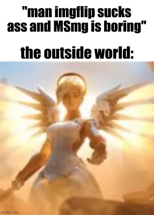 if you don't like MSmg anymore then leave vro | "man imgflip sucks ass and MSmg is boring"; the outside world: | made w/ Imgflip meme maker