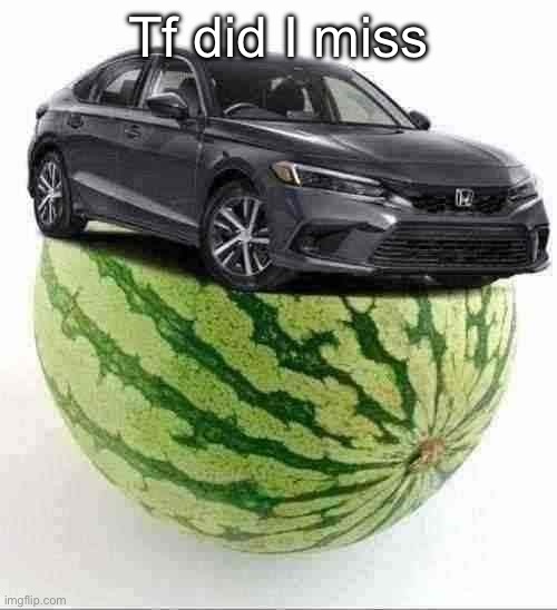 CivicMelon | Tf did I miss | image tagged in civicmelon | made w/ Imgflip meme maker