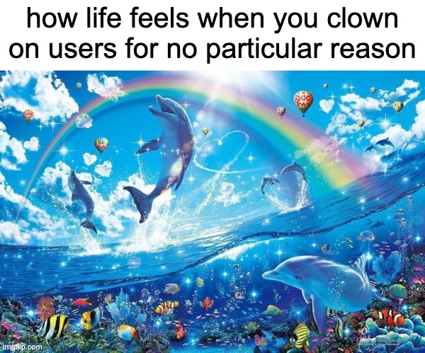 Happy dolphin rainbow | how life feels when you clown on users for no particular reason | image tagged in happy dolphin rainbow | made w/ Imgflip meme maker