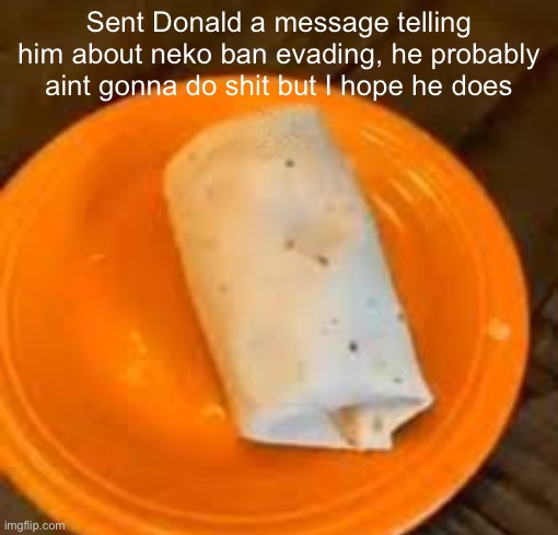 JimmyHere Burrito | Sent Donald a message telling him about neko ban evading, he probably aint gonna do shit but I hope he does | image tagged in jimmyhere burrito | made w/ Imgflip meme maker