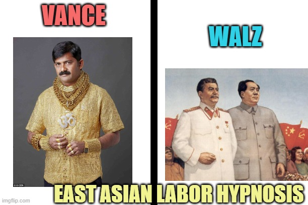 split | WALZ VANCE EAST ASIAN LABOR HYPNOSIS | image tagged in split | made w/ Imgflip meme maker