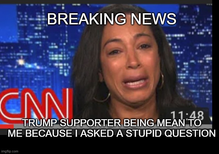 CNN Crying | TRUMP SUPPORTER BEING MEAN TO ME BECAUSE I ASKED A STUPID QUESTION BREAKING NEWS | image tagged in cnn crying | made w/ Imgflip meme maker