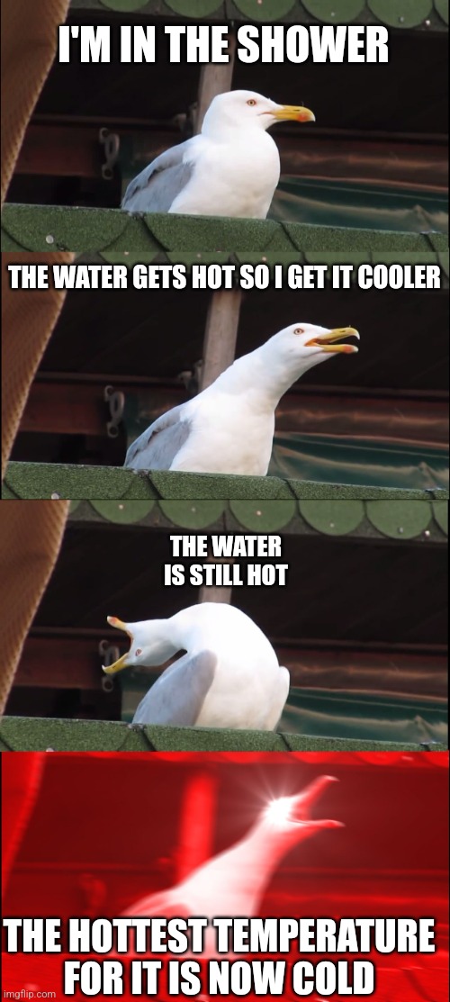 Inhaling Seagull | I'M IN THE SHOWER; THE WATER GETS HOT SO I GET IT COOLER; THE WATER IS STILL HOT; THE HOTTEST TEMPERATURE FOR IT IS NOW COLD | image tagged in memes,inhaling seagull,idk anymore | made w/ Imgflip meme maker