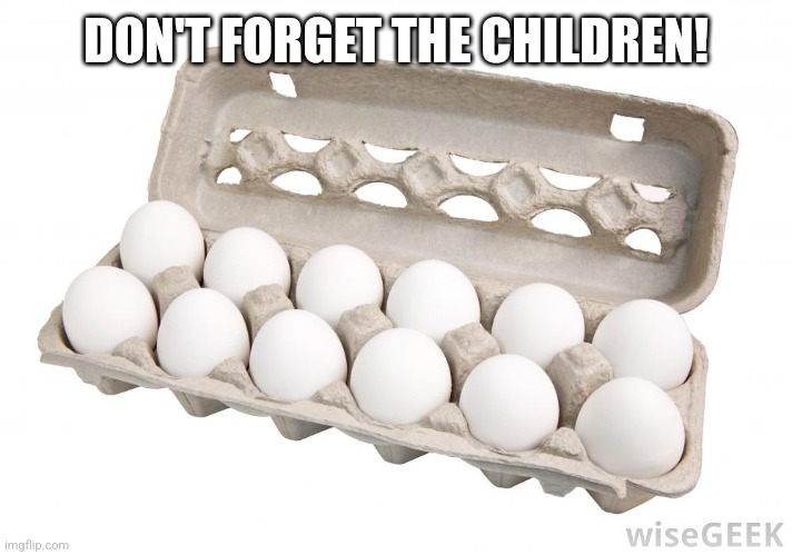 Dozen eggs | DON'T FORGET THE CHILDREN! | image tagged in dozen eggs | made w/ Imgflip meme maker