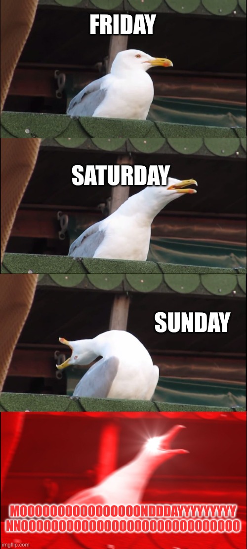 Mondays, am I right? | FRIDAY; SATURDAY; SUNDAY; MOOOOOOOOOOOOOOOONDDDAYYYYYYYYY NNOOOOOOOOOOOOOOOOOOOOOOOOOOOOO | image tagged in memes,inhaling seagull | made w/ Imgflip meme maker