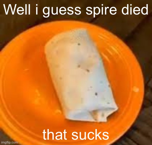 Might have died idk | Well i guess spire died; that sucks | image tagged in jimmyhere burrito | made w/ Imgflip meme maker