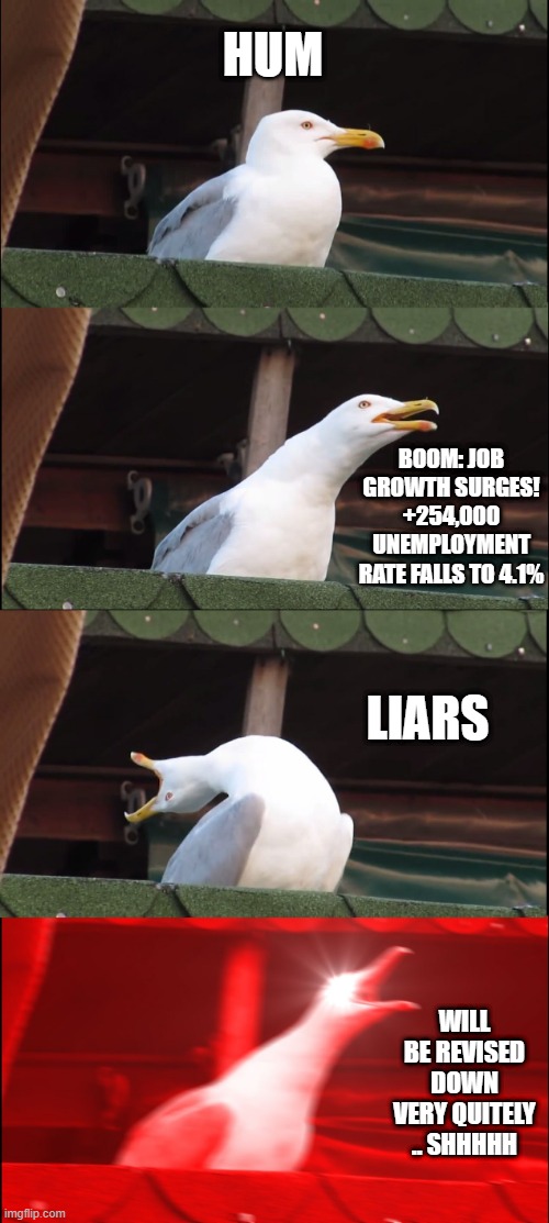 I see the new soon to be adjusted numbers are out, & All in SQUAK*** not finacel advice | HUM; BOOM: JOB GROWTH SURGES!
+254,000
UNEMPLOYMENT RATE FALLS TO 4.1%; LIARS; WILL BE REVISED DOWN VERY QUITELY .. SHHHHH | image tagged in memes,inhaling seagull | made w/ Imgflip meme maker