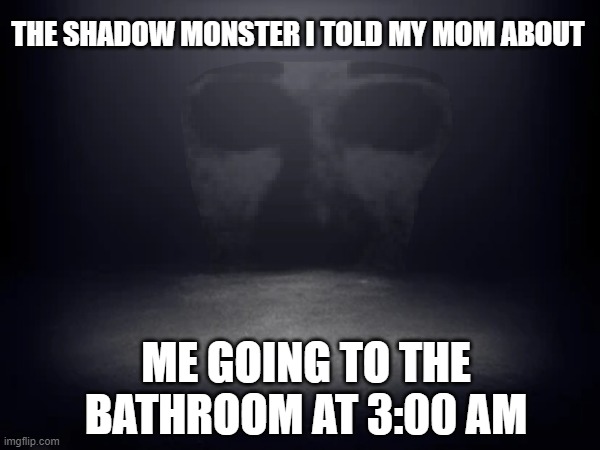 dont watch 3am videos kids | THE SHADOW MONSTER I TOLD MY MOM ABOUT; ME GOING TO THE BATHROOM AT 3:00 AM | image tagged in scary,3am,scary harry | made w/ Imgflip meme maker