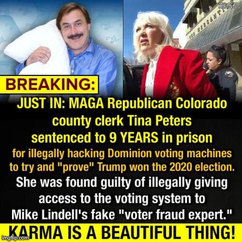 MAGA Frauds go to jail | image tagged in dominion,voting machines,mike lindell,trump,2020,voter fraud | made w/ Imgflip meme maker