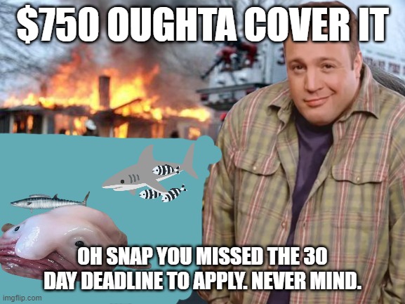 And the 800 number rings, and rings, and rings, . . . | $750 OUGHTA COVER IT OH SNAP YOU MISSED THE 30 DAY DEADLINE TO APPLY. NEVER MIND. | image tagged in kevin james disaster girl | made w/ Imgflip meme maker