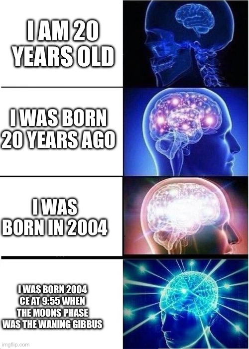 hmm | I AM 20 YEARS OLD; I WAS BORN 20 YEARS AGO; I WAS BORN IN 2004; I WAS BORN 2004 CE AT 9:55 WHEN THE MOONS PHASE WAS THE WANING GIBBOUS | image tagged in levels of intelligence,oh wow are you actually reading these tags | made w/ Imgflip meme maker