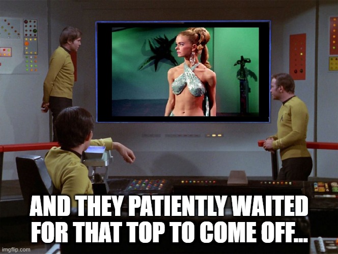 Dirty View Screen | AND THEY PATIENTLY WAITED FOR THAT TOP TO COME OFF... | image tagged in star trek viewer | made w/ Imgflip meme maker