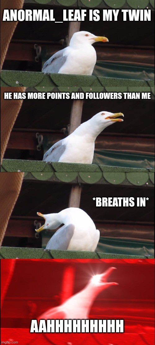 Inhaling Seagull | ANORMAL_LEAF IS MY TWIN; HE HAS MORE POINTS AND FOLLOWERS THAN ME; *BREATHS IN*; AAHHHHHHHHH | image tagged in memes,inhaling seagull | made w/ Imgflip meme maker