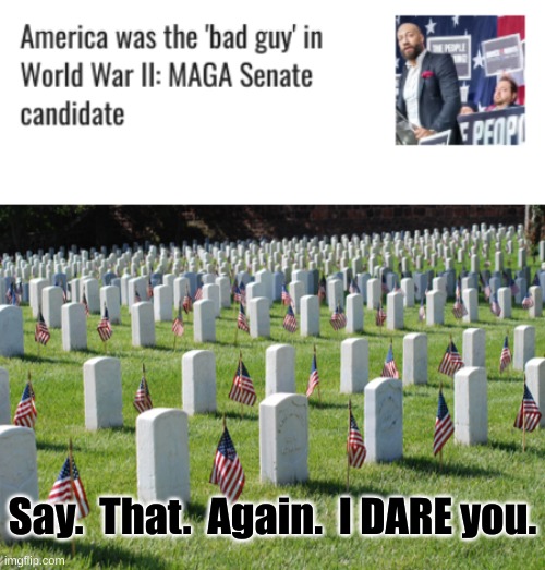 I Thought Real Americans Supported the Troops | Say.  That.  Again.  I DARE you. | image tagged in veterans graveyard,support the troops,national military appreciation month,world war 2,we fought the nazis | made w/ Imgflip meme maker