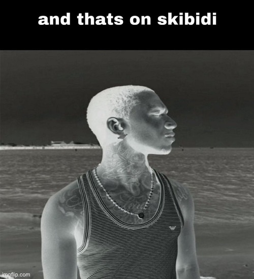 and that's on skibidi | image tagged in and that's on skibidi | made w/ Imgflip meme maker