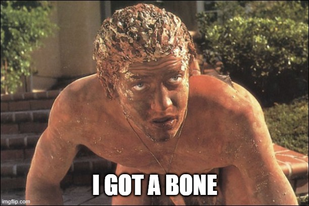 Dumb Boy!!! | I GOT A BONE | image tagged in dumb boy | made w/ Imgflip meme maker