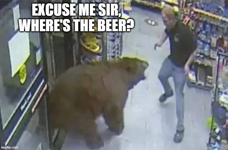 Bear Beer | EXCUSE ME SIR, WHERE'S THE BEER? | image tagged in funny,memes | made w/ Imgflip meme maker