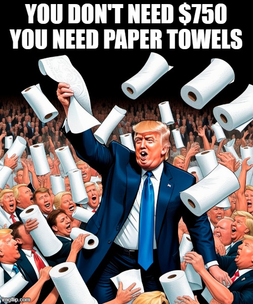 Remember how Trump helped hurricane victims? | YOU DON'T NEED $750
YOU NEED PAPER TOWELS | image tagged in donald trump,deplorable donald,hurricane,disaster,paper towels | made w/ Imgflip meme maker