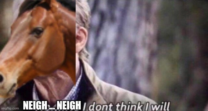 no i don't think i will | NEIGH ... NEIGH | image tagged in no i don't think i will | made w/ Imgflip meme maker