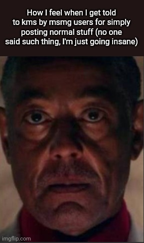 Gus fring | How I feel when I get told to kms by msmg users for simply posting normal stuff (no one said such thing, I'm just going insane) | image tagged in gus fring | made w/ Imgflip meme maker