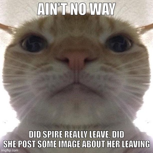 Staring Cat/Gusic | AIN’T NO WAY; DID SPIRE REALLY LEAVE, DID SHE POST SOME IMAGE ABOUT HER LEAVING | image tagged in staring cat/gusic | made w/ Imgflip meme maker