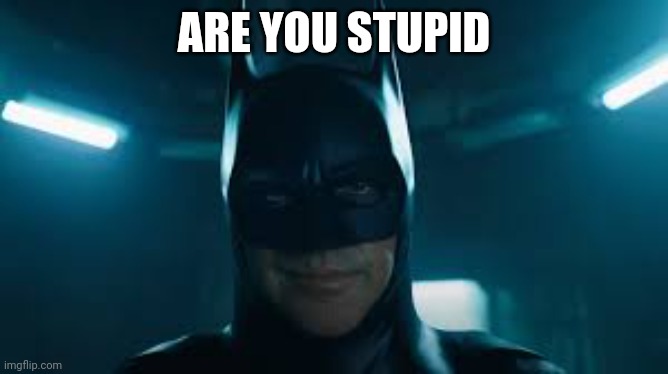 Batman flash | ARE YOU STUPID | image tagged in batman flash | made w/ Imgflip meme maker