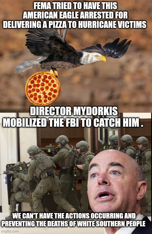 mayorkas meme | FEMA TRIED TO HAVE THIS AMERICAN EAGLE ARRESTED FOR DELIVERING A PIZZA TO HURRICANE VICTIMS; DIRECTOR MYDORKIS MOBILIZED THE FBI TO CATCH HIM . WE CAN'T HAVE THE ACTIONS OCCURRING AND PREVENTING THE DEATHS OF WHITE SOUTHERN PEOPLE | image tagged in fbi swat | made w/ Imgflip meme maker