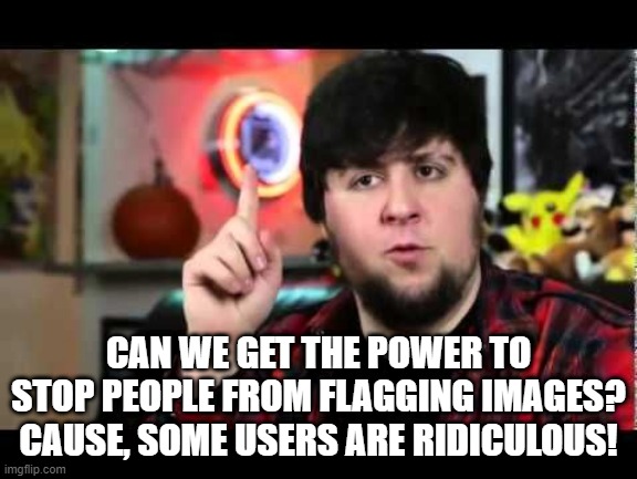 Flagging Blocks | CAN WE GET THE POWER TO STOP PEOPLE FROM FLAGGING IMAGES? CAUSE, SOME USERS ARE RIDICULOUS! | image tagged in jontron i have several questions | made w/ Imgflip meme maker