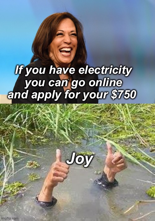 Joy is on the way | If you have electricity you can go online and apply for your $750; Joy | image tagged in kamala harris laughing,flooding thumbs up,politics lol,memes | made w/ Imgflip meme maker