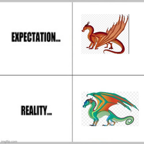 Expectation vs Reality | image tagged in expectation vs reality | made w/ Imgflip meme maker