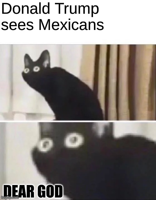 Oh No Black Cat | Donald Trump sees Mexicans; DEAR GOD | image tagged in oh no black cat | made w/ Imgflip meme maker