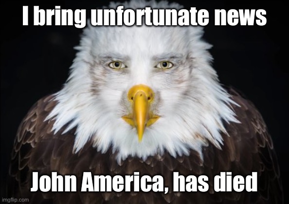 Bald Eagle Stare | I bring unfortunate news; John America, has died | image tagged in bald eagle stare | made w/ Imgflip meme maker