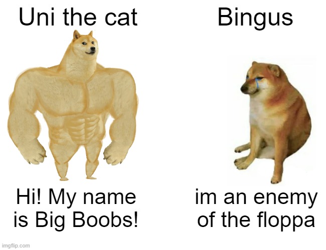 Uni the cat vs bingus | Uni the cat; Bingus; Hi! My name is Big Boobs! im an enemy of the floppa | image tagged in memes,buff doge vs cheems | made w/ Imgflip meme maker