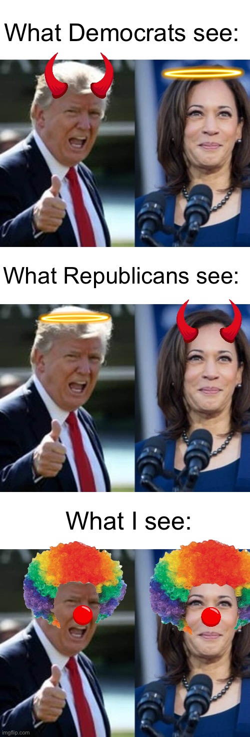 Cry all you want | What Democrats see:; What Republicans see:; What I see: | image tagged in donald trump and kamala harris,donald trump,kamala harris,clown,memes,dank memes | made w/ Imgflip meme maker