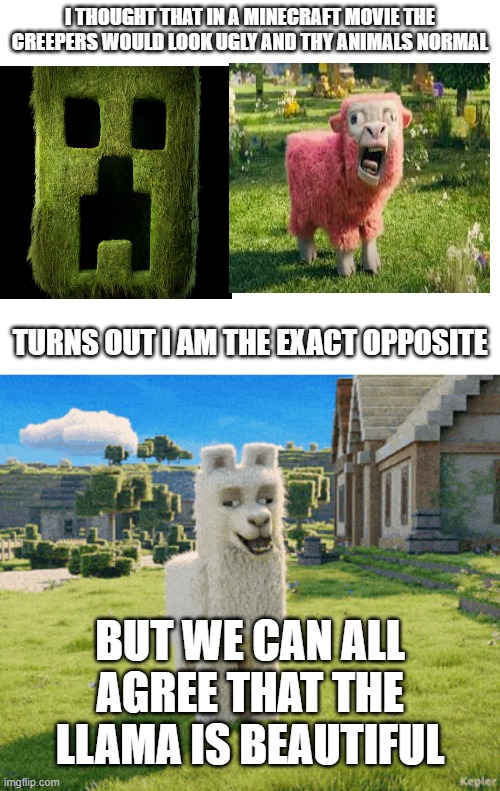 Low expectations | I THOUGHT THAT IN A MINECRAFT MOVIE THE CREEPERS WOULD LOOK UGLY AND THY ANIMALS NORMAL; TURNS OUT I AM THE EXACT OPPOSITE; BUT WE CAN ALL AGREE THAT THE LLAMA IS BEAUTIFUL | image tagged in minecraft,sheep | made w/ Imgflip meme maker