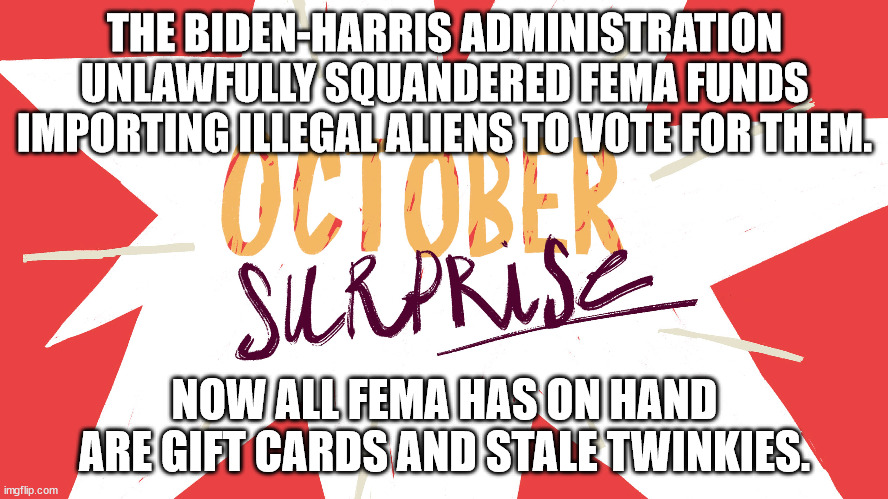 Biden-Harris Administrations October Surprise | THE BIDEN-HARRIS ADMINISTRATION UNLAWFULLY SQUANDERED FEMA FUNDS IMPORTING ILLEGAL ALIENS TO VOTE FOR THEM. NOW ALL FEMA HAS ON HAND ARE GIFT CARDS AND STALE TWINKIES. | image tagged in biden,harris,suck | made w/ Imgflip meme maker