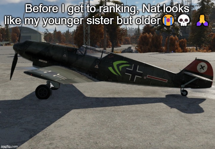 Nvidia plane | Before I get to ranking, Nat looks like my younger sister but older😭💀 🙏 | image tagged in nvidia plane | made w/ Imgflip meme maker