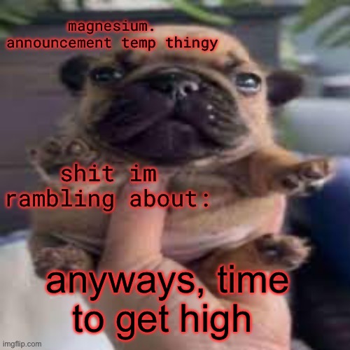 :p | anyways, time to get high | image tagged in pug temp | made w/ Imgflip meme maker