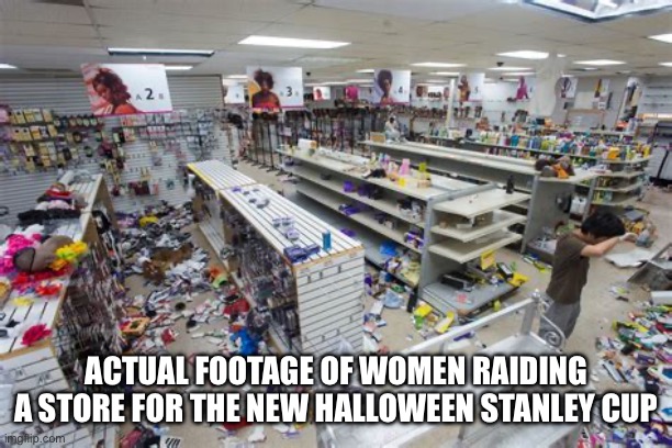 Stanley | ACTUAL FOOTAGE OF WOMEN RAIDING A STORE FOR THE NEW HALLOWEEN STANLEY CUP | image tagged in halloween | made w/ Imgflip meme maker