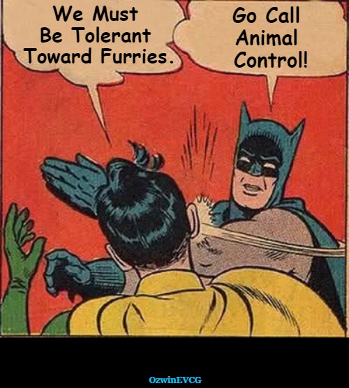 LARPing Level Exceeded | We Must 

Be Tolerant 

Toward Furries. Go Call 

Animal 

Control! OzwinEVCG | image tagged in memes,batman slapping robin,furry,dark,furries,larp | made w/ Imgflip meme maker