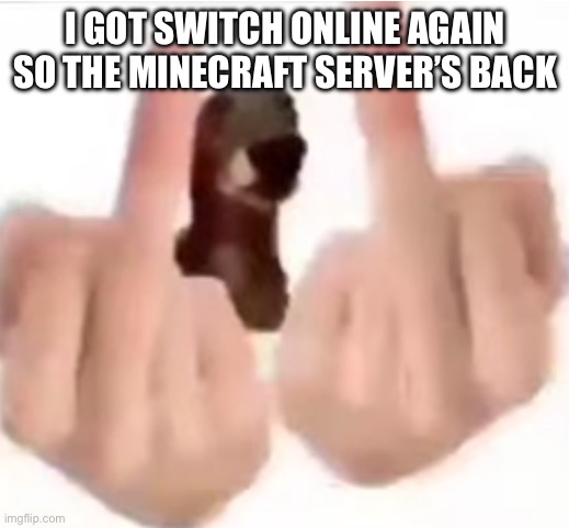 fuck you | I GOT SWITCH ONLINE AGAIN SO THE MINECRAFT SERVER’S BACK | image tagged in fuck you | made w/ Imgflip meme maker
