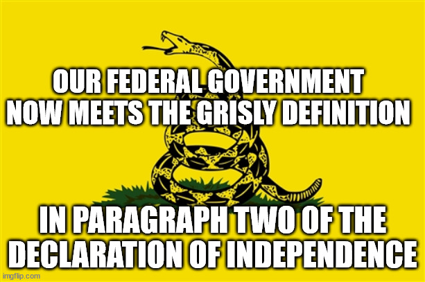 Who seizes donations? WTF? | OUR FEDERAL GOVERNMENT NOW MEETS THE GRISLY DEFINITION; IN PARAGRAPH TWO OF THE DECLARATION OF INDEPENDENCE | image tagged in dont tread on me,helene,donations,tyranny | made w/ Imgflip meme maker