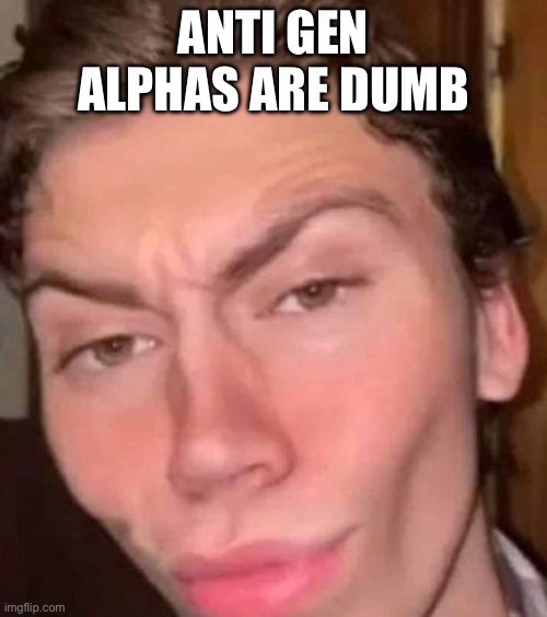 Rizz | ANTI GEN ALPHAS ARE DUMB | image tagged in rizz | made w/ Imgflip meme maker