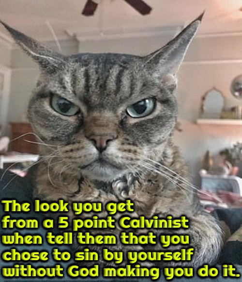 I Did It Myself | The look you get from a 5 point Calvinist when tell them that you; chose to sin by yourself without God making you do it. | image tagged in calvinism,arminian,molinism,reformed theology,free will,total ability | made w/ Imgflip meme maker