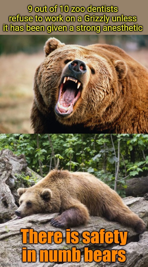 Unbearable | image tagged in bears,zoo,dentists,bad puns | made w/ Imgflip meme maker