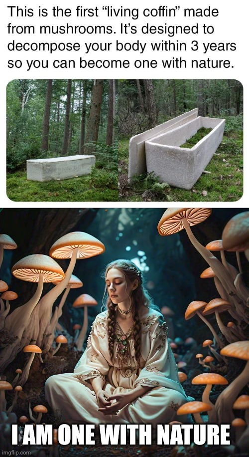 THAT'S MY COFFIN | I AM ONE WITH NATURE | image tagged in coffin,death,pagan,mushrooms | made w/ Imgflip meme maker